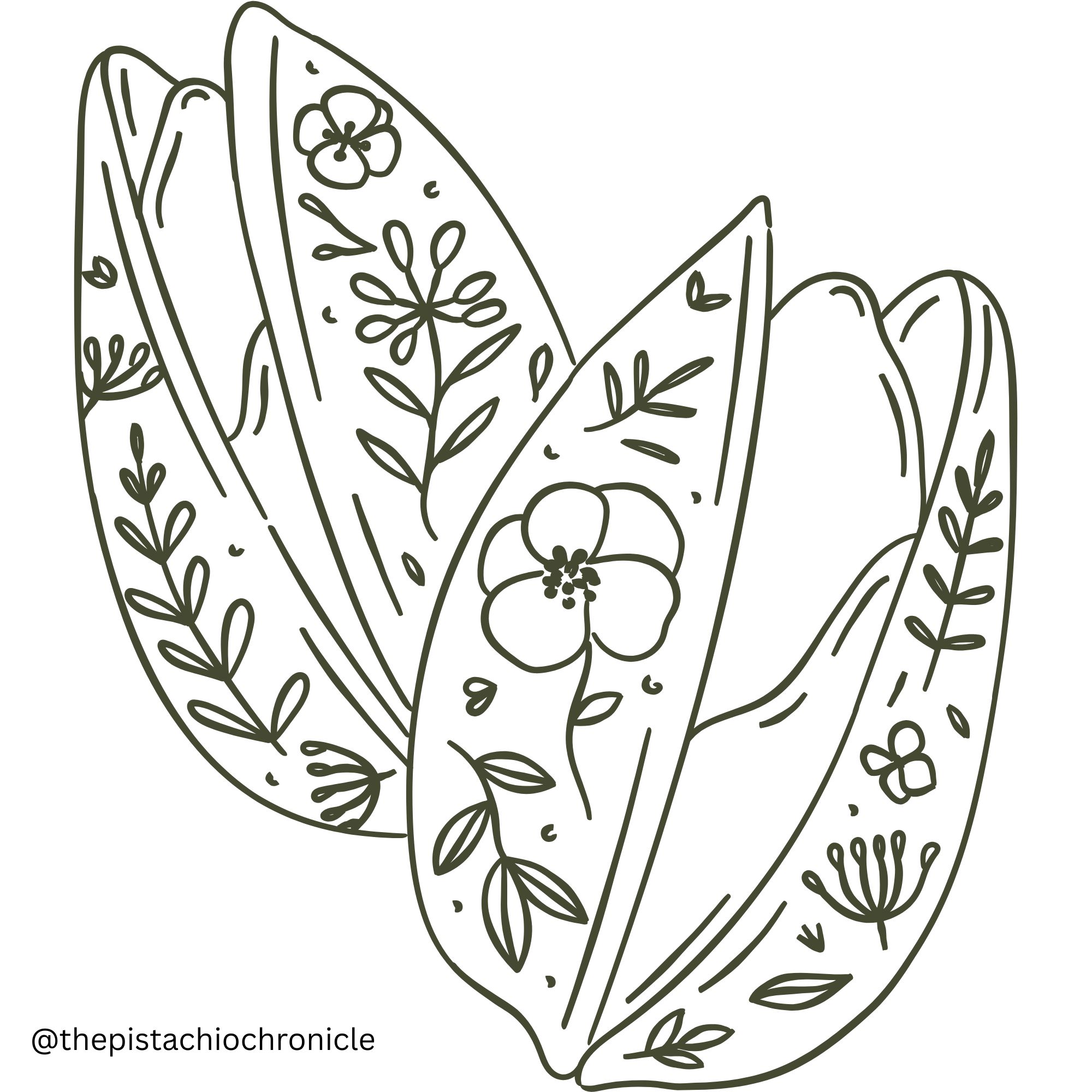 The Pistachio Chronicle